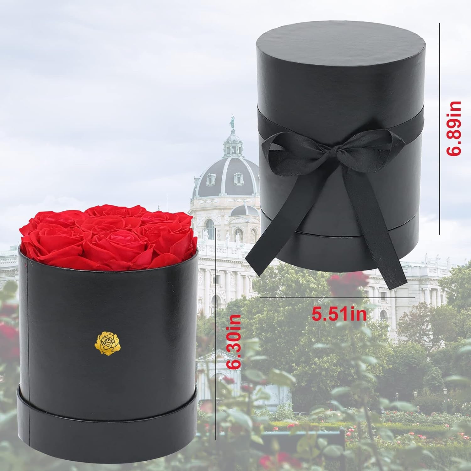 Premium Preserved Red Roses Gift Box for Her - Lasting Fresh Roses for Valentine's Day and Beyond