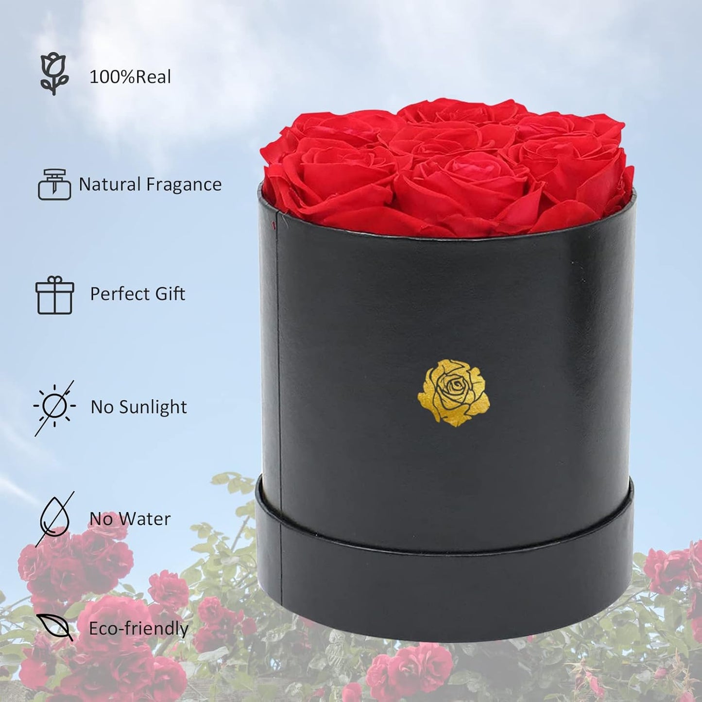 Premium Preserved Red Roses Gift Box for Her - Lasting Fresh Roses for Valentine's Day and Beyond